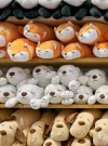 Banner_2