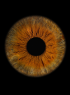 Banner_1